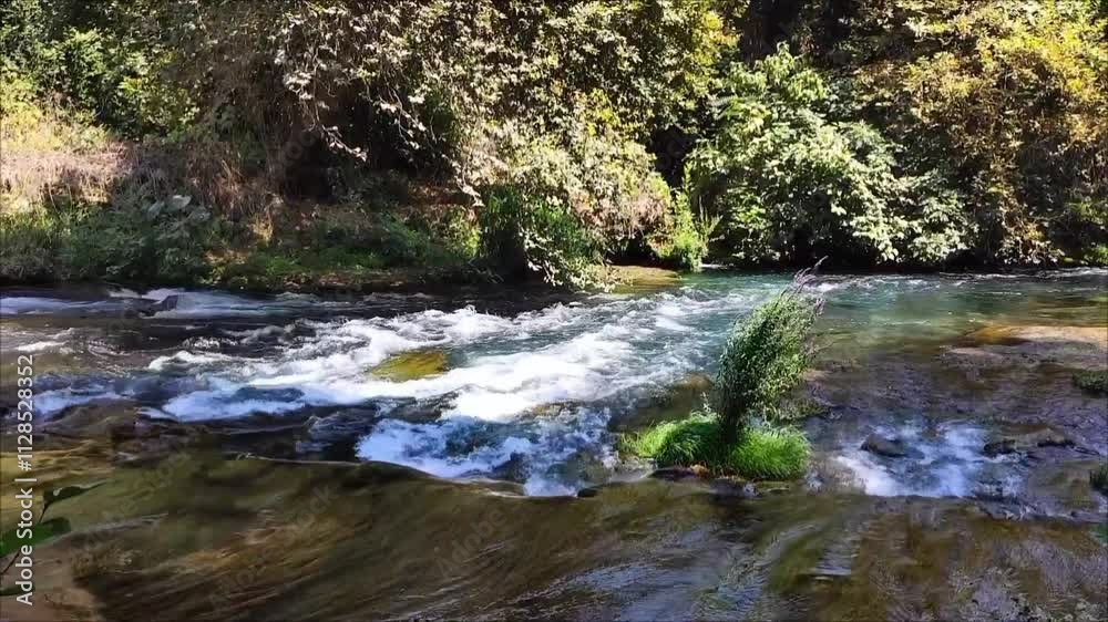A mountain river with clear water and fast flowing in a picturesque forest place A mountain river with clear water and fast flowing in a picturesque forest place