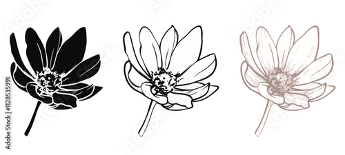 Beautiful monochrome, line, black and white cosmos flower set isolated. Hand-drawn contour lines and strokes. Cute flower illustration.
