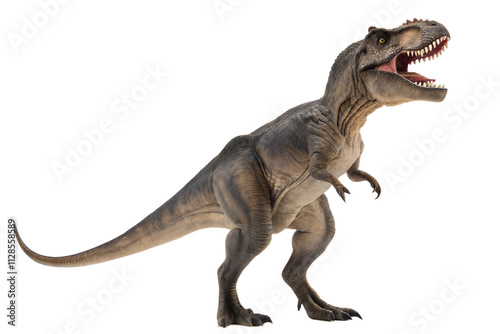 Isolated tyrannosaurus rex in white background photo