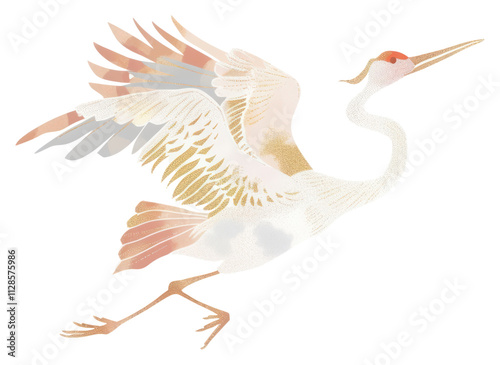 PNG Crane animal white bird. photo