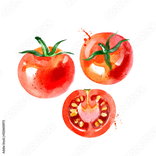 Tomato set. Hand drawn watercolor painting on white background. Vector illustration