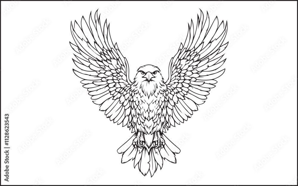 Fototapeta premium eagle with wings silhouette