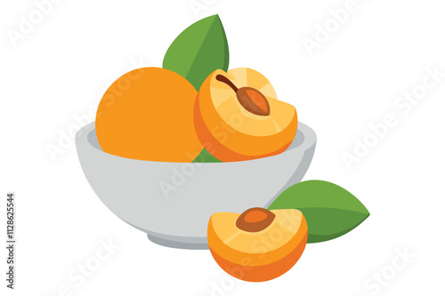 fresh apricots fruit vector illustration