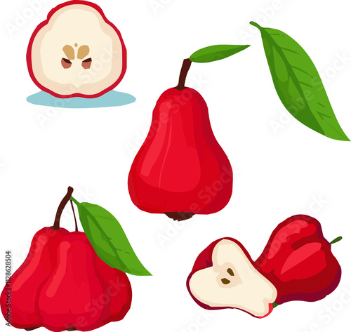 Wax Apple with Leaves Isolated Tropical Fruit Jambu Juicy bell apple icon flat style set photo