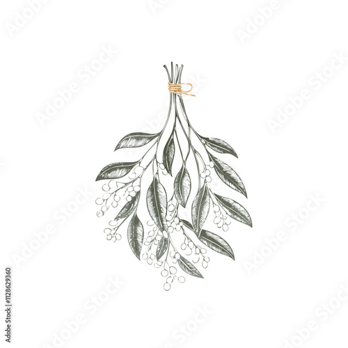 Christmas Mistletoe Sketch Celebration Decoration Winter Event Festival of X-Mas
