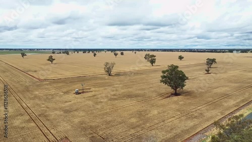 Old windmill and water tank in a wheat paddock near Savernake NSW Australia photo