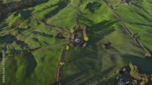 High angle drone shot capturing cattle farm on green pasure field with grazing areas. photo