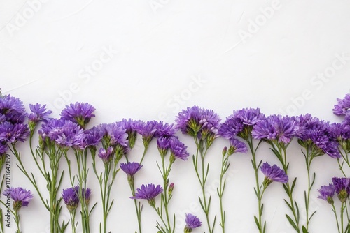 Banner of Vibrant Purple Flowers in Full Bloom, Elegantly Arranged in a Straight Line on a Crisp White Background for Floral Aesthetics and Design Inspiration