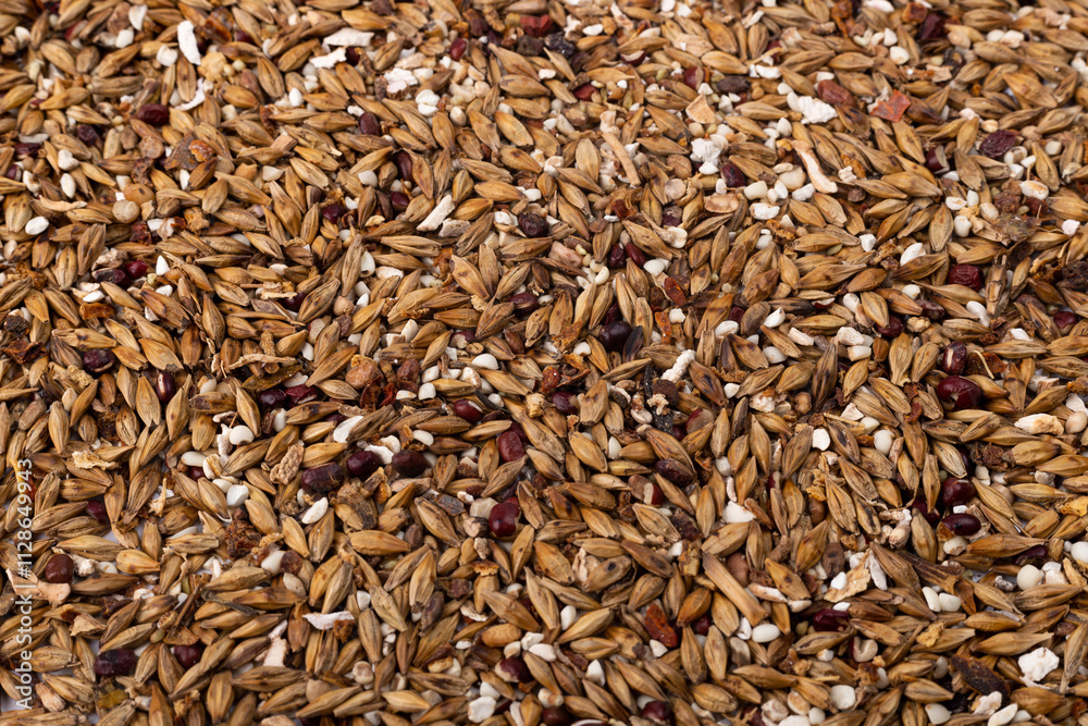 Red pea Gorgon seed red coix barley substitute tea coarse grain background texture Red pea Gorgon seed red coix barley substitute tea coarse grain background texture