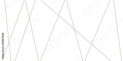 Abstract lines in black and white tone of many squares and rectangle shapes on white background. Metal grid isolated on the white background. nervures de Feuillet mores, fond rectangle and geometric.