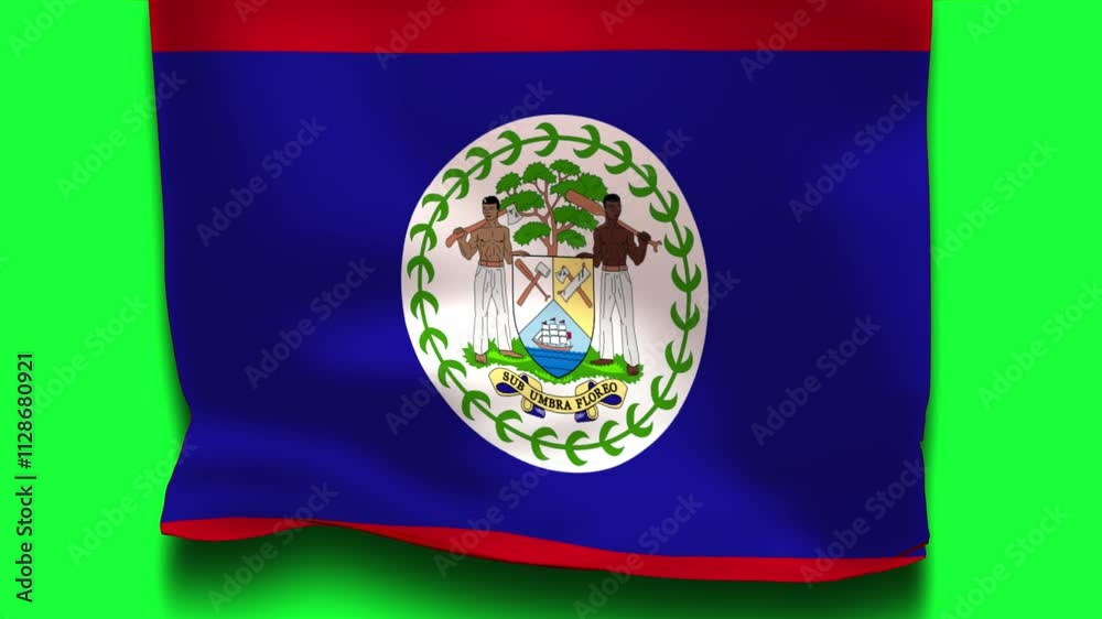 Belize Flag on Unfolding Cloth, 3d Motion Animation Belize Flag Insolated Green Screen
