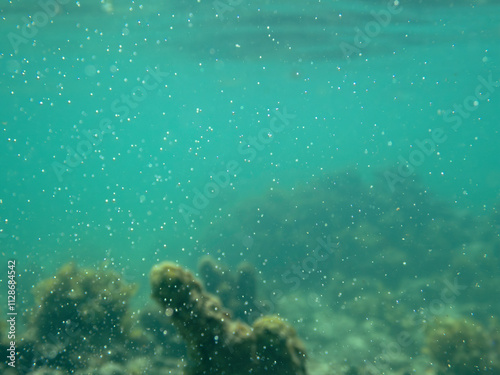 Bubbles Rising At The Coral Reef