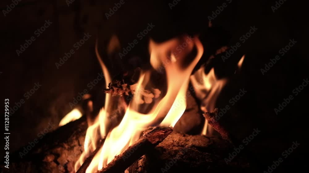 Close-up of a vibrant campfire at night, flames dancing against a dark background. Warm, intimate, and a primal scene of fire. Close-up of a vibrant campfire at night, flames dancing against a dark background. Warm, intimate, and a primal scene of fire.