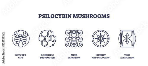 Psilocybin mushrooms icons symbolize natures gift, scientific foundation, and mind expansion, transparent background. Outline icons set.