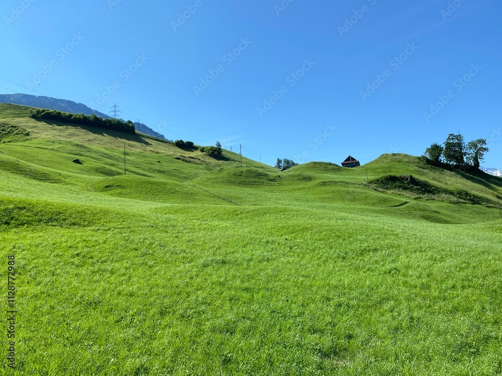Alpine meadows along Lake Lungern or pastures by Lake Lungernsee - Canton of Obwald, Switzerland (Almwiesen entlang des Naturstausee Lungererses - Kanton Obwald, Schweiz) Alpine meadows along Lake Lungern or pastures by Lake Lungernsee - Canton of Obwald, Switzerland (Almwiesen entlang des Naturstausee Lungererses - Kanton Obwald, Schweiz)