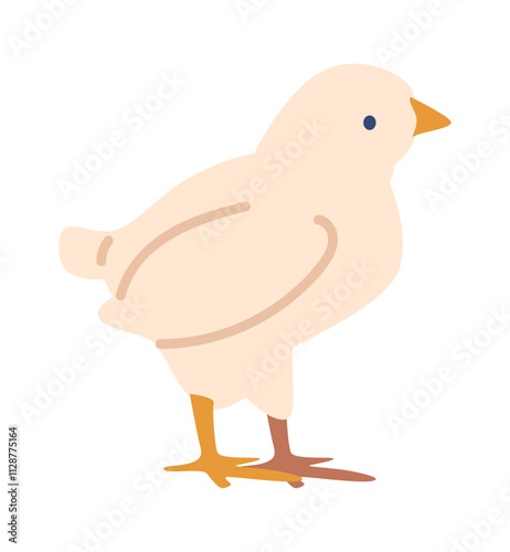 Chicken broiler breed vector illustration
