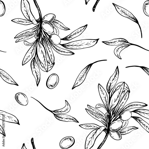 Olive tree branch, leaves and berries seamless pattern. Botanical hand drawn vector linear drawing illustration. Floral clipart for fabric, package, wallpaper, food packaging. Isolated from background