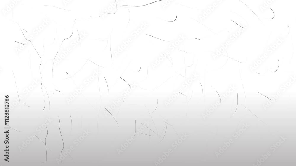 Simulates visual television noise in the form of hair or lines with a gradient at the bottom. Simulates visual television noise in the form of hair or lines with a gradient at the bottom.