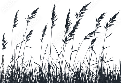 Silhouette of the cane. vector illustration	