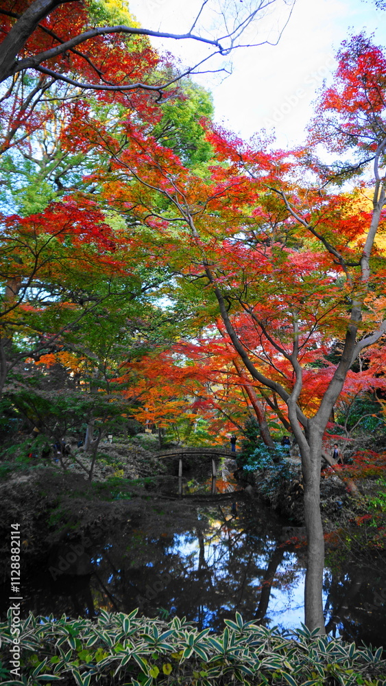 Naklejka premium 秋の六義園