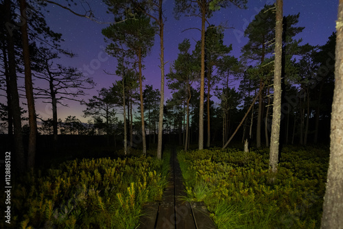 Wooden walking path through the Seli swamp forest at night during the northern lights and starry sky. Estonian nature. photo