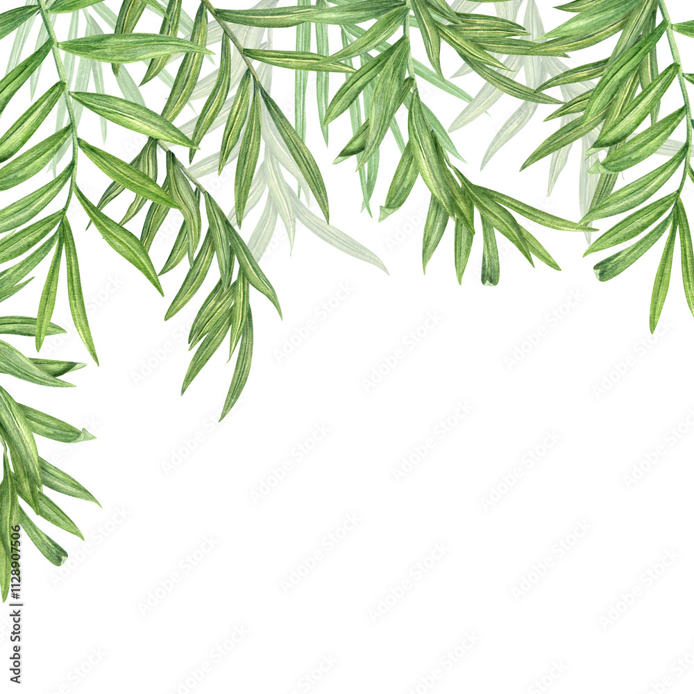 Fototapeta premium Watercolor hanging down branches of plants illustration. Summer tropical leaves frame with copy space for text. . Palm or cane leaf bouquet for textile decor, greeting cards, package design
