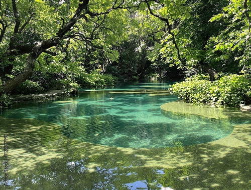 Water ripples on a small pond of crystal clear water surrounded by trees, water, ripples, outdoor, crystal clear