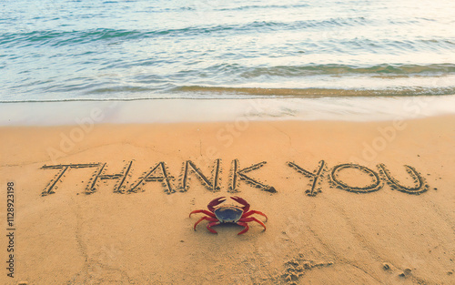Thank you text written on beach sand with a crab. express gratitude, grateful, appreciation, presentation end message concept.