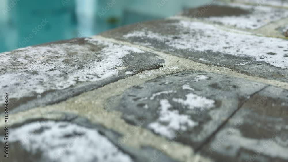 Frost-covered ground in the morning, creating a cold and serene landscape.