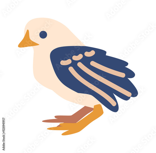 Little domestic chicken vector illustration