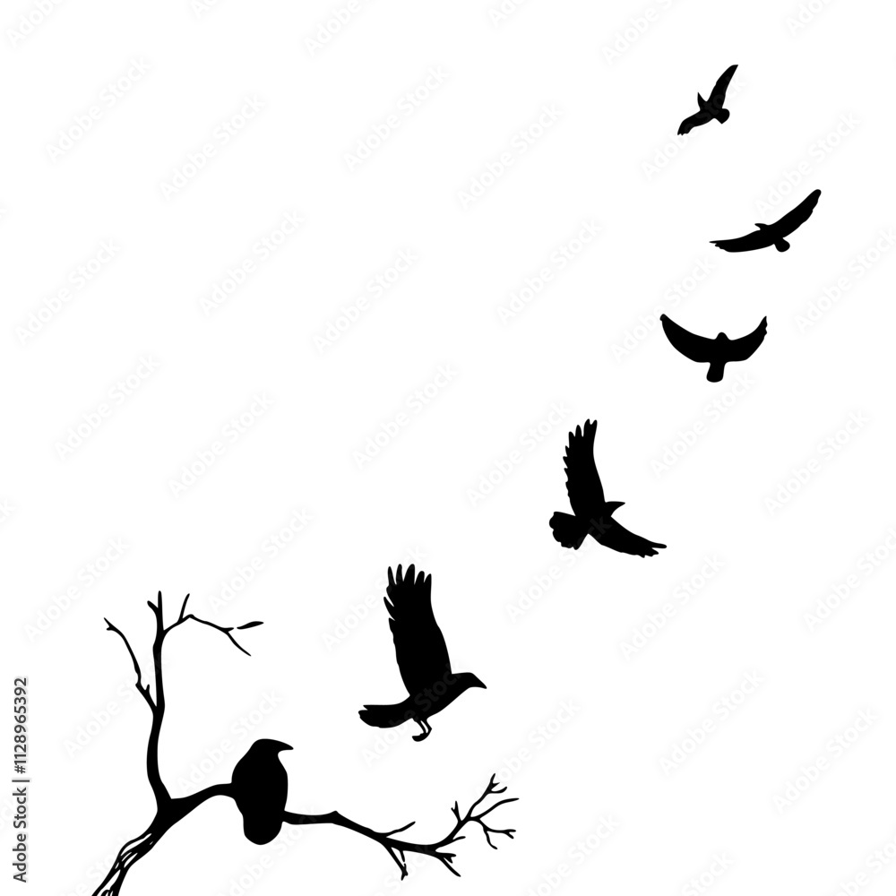 Fototapeta premium silhouette of flying birds 
