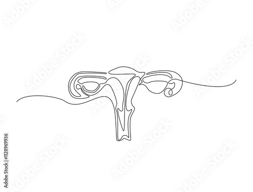 Continuous one line drawing of uterus woman reproductive organ. ovary single line illustration. Editable line vector.