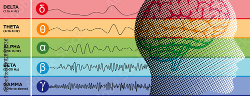 An illustration showcasing various types of waveforms generated by brain activity. human brainwave patterns, a visually representation of neurological rhythms.