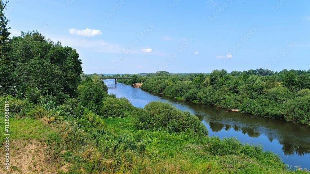 A bridge on concrete piers rises above the river near a sandy beach. Shrubs and deciduous trees grow along the grassy banks. Sunny summer weather A bridge on concrete piers rises above the river near a sandy beach. Shrubs and deciduous trees grow along the grassy banks. Sunny summer weather