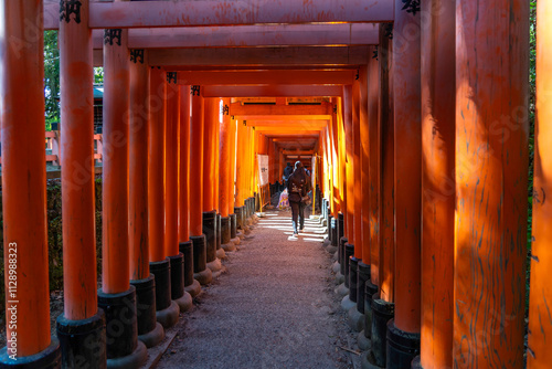 The sun shines on several tourists walking through the red Torii gates on the grounds of the Fushimi Inari Shrine and the sacred grove of Mount Inari in Kyoto, Japan