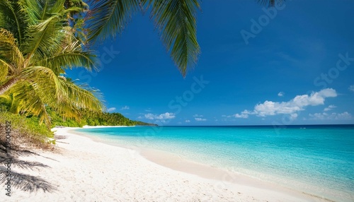 summer natural landscape tropical beach with sea blue sky and palm trees and white sand