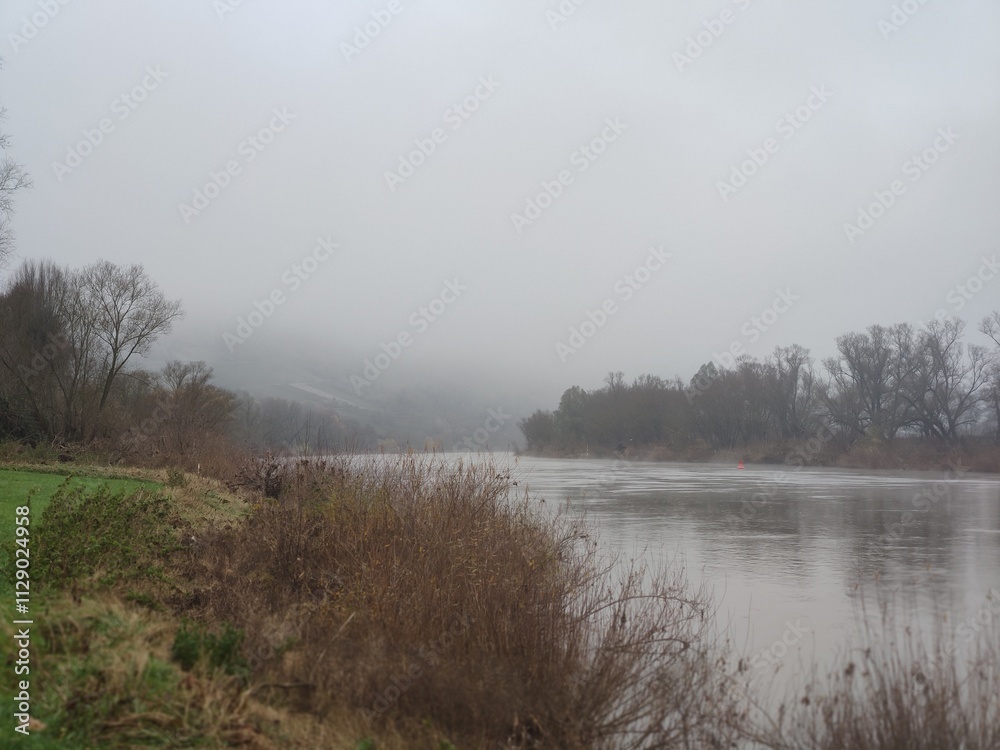 misty morning on the river