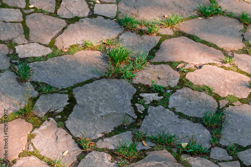 aged cobble stone old floor street tile pavement historical city background perspective surface with grass plants