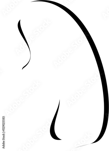 silhouette of a cat