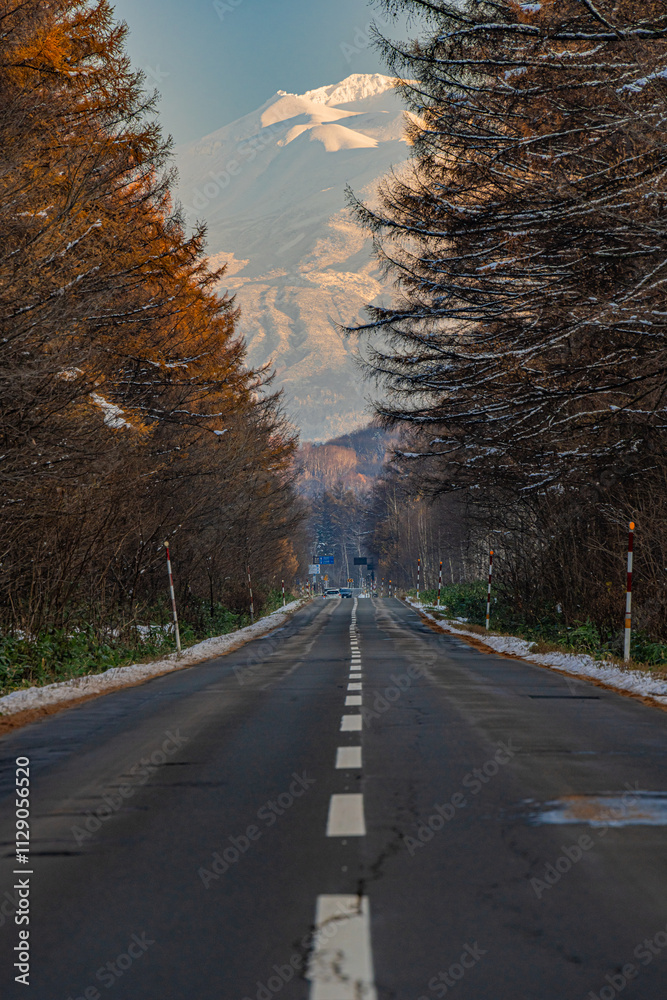 Fototapeta premium 北海道の雪化粧の旭岳と紅葉の並木道/Snow-capped Mount Asahidake and autumn foliage avenue in Hokkaido