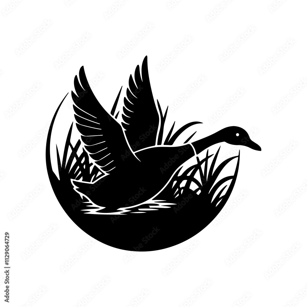 Flying duck and Wild duck Flying silhouette, black and white silhouette, vector and illustration Flying duck and Wild duck Flying silhouette, black and white silhouette, vector and illustration