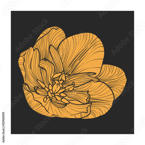 Yellow vector tulip blossom on dark gray background. Square design with a simple tulip flat vector design. Hand drawn fill only of a beautiful spring flower. No outlines. 