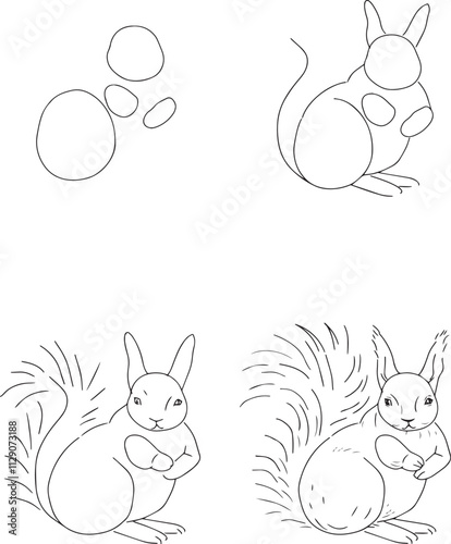 How to draw a squirrel with a pencil.  Draw a squirrel step by step. 4