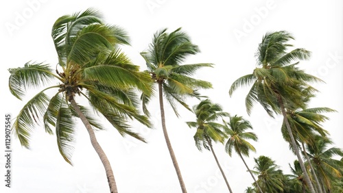 Fototapeta Naklejka Na Ścianę i Meble -  Closeup of waves sand beach and blue summer sea. Panoramic beach landscape.
