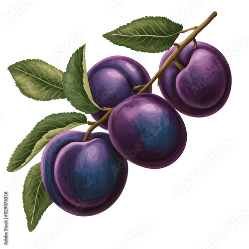 Digital watercolor painting of plum fruit, isolated on a transparent background, plums drawing clipart, png Illustration Graphic Painting, design art, logo photo