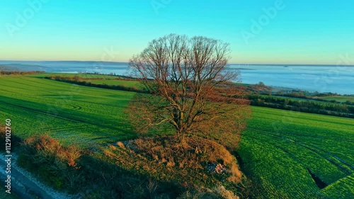 Aerial view in nature at sunset