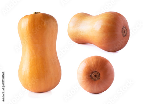Bottle shaped butternut pumpkin isolated on a white background. Ripe butternut squash isolated on white background with copy space. Fresh butternut squash on white.