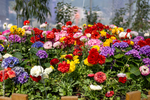 Wallpaper Mural Bright flowers in the spring garden Torontodigital.ca