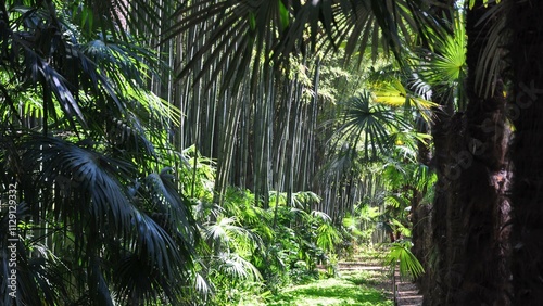 Bambouseraie de Prafrance-3