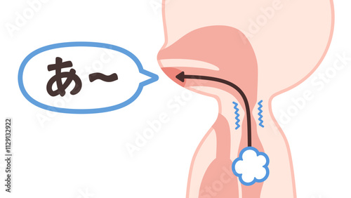 食道発声の仕組みのイラスト